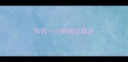 狗狗一只眼睛流眼泪