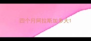 四个月阿拉斯加多大