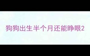 狗狗出生半个月还能睁眼