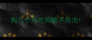 狗几个月吃狗粮不用泡