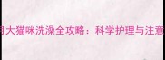 两个月大猫咪洗澡全攻略科学护理与注意事项