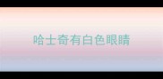 哈士奇有白色眼睛