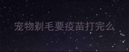 宠物剃毛要疫苗打完么