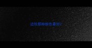 边牧那种颜色最好