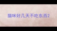 猫咪好几天不吃东西