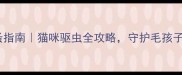 防跳蚤指南猫咪驱虫全攻略守护毛孩子健康
