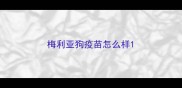 梅利亚狗疫苗怎么样