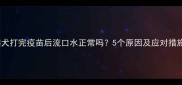 比熊犬打完疫苗后流口水正常吗5个原因及应对措施全
