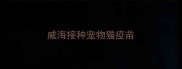威海接种宠物猫疫苗