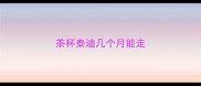茶杯泰迪几个月能走