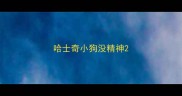 哈士奇小狗没精神