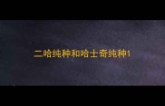 二哈纯种和哈士奇纯种