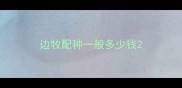 边牧配种一般多少钱