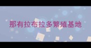 那有拉布拉多繁殖基地