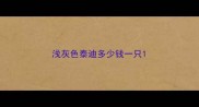 浅灰色泰迪多少钱一只