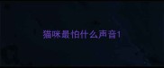 猫咪最怕什么声音