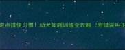 3周养成定点排便习惯幼犬如厕训练全攻略附错误纠正技巧