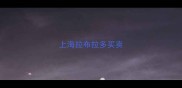 上海拉布拉多买卖