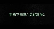 狗狗下完崽几天能洗澡