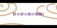 好小好小的小狗狗