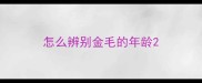 怎么辨别金毛的年龄
