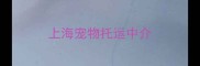 上海宠物托运中介