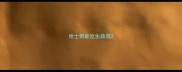 哈士奇能吃生蔬菜