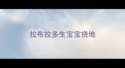 拉布拉多生宝宝挠地