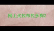 网上买拉布拉多狗