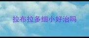 拉布拉多细小好治吗