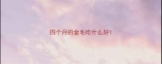 四个月的金毛吃什么好