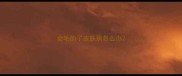 金毛的了皮肤病怎么办