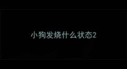 小狗发烧什么状态