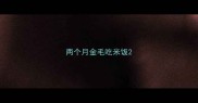 两个月金毛吃米饭