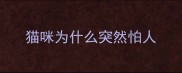 猫咪为什么突然怕人