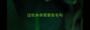 边牧串串需要剪毛吗