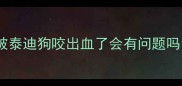 被泰迪狗咬出血了会有问题吗
