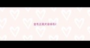 金毛正规犬舍排名