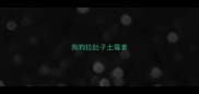 狗狗拉肚子土霉素