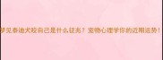 梦见泰迪犬咬自己是什么征兆宠物心理学你的近期运势