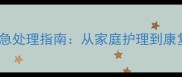 泰迪犬骨折应急处理指南从家庭护理到康复训练全攻略