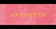 拉布拉多感冒气紧