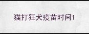 猫打狂犬疫苗时间