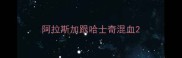 阿拉斯加跟哈士奇混血