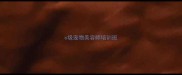 c级宠物美容师培训班