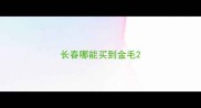 长春哪能买到金毛