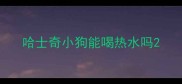 哈士奇小狗能喝热水吗