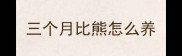 三个月比熊怎么养