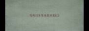 拉布拉多耳朵发热发红
