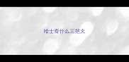 哈士奇什么三把火